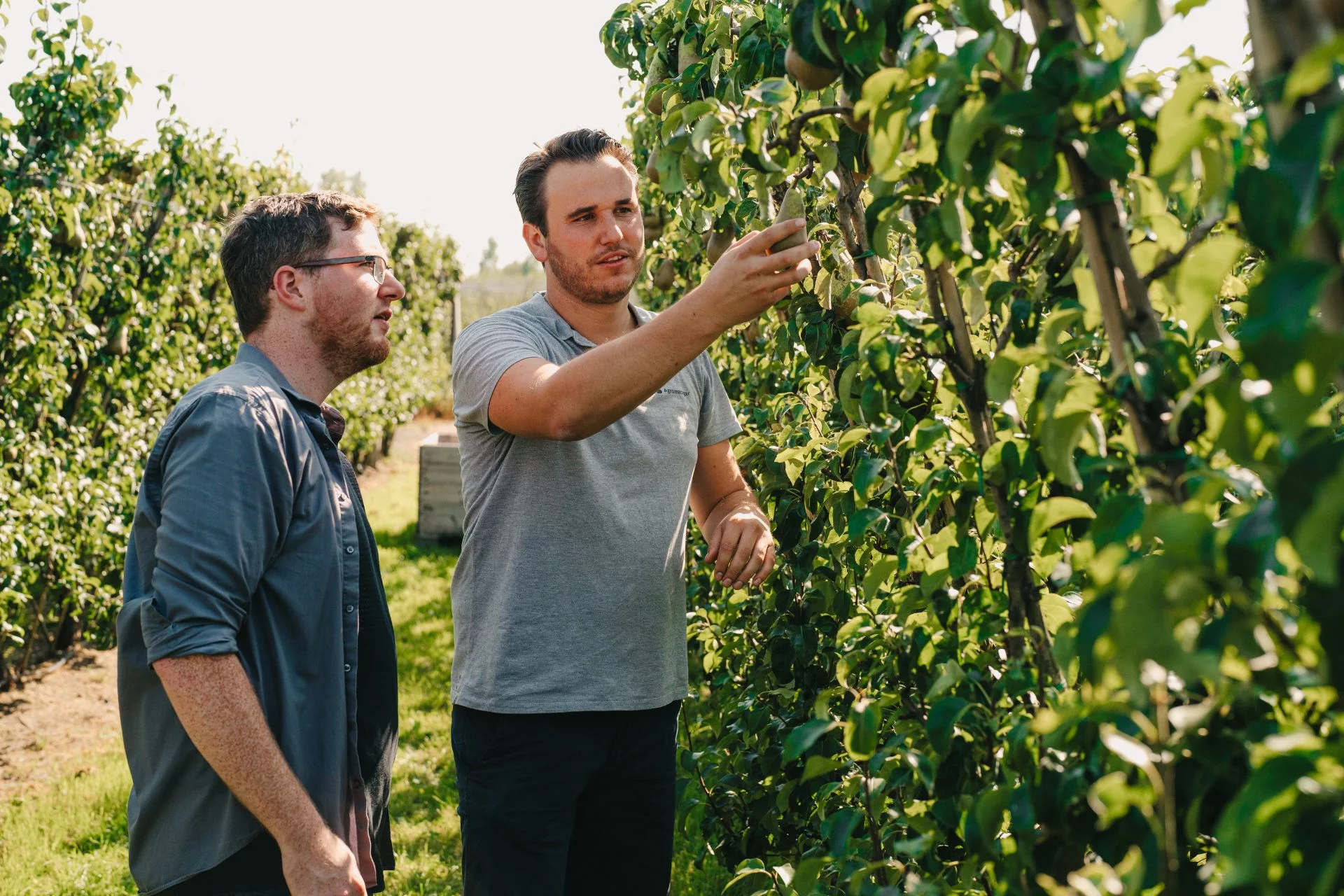 Ontwikkeld door en voor fruittelers